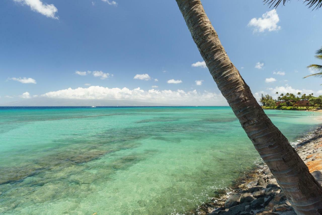 Hale Ono Loa 208 Apartment Napili-Honokowai Bagian luar foto